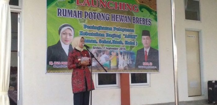 Menjelang Idul Adha, Bupati Resmikan RPH Modern
