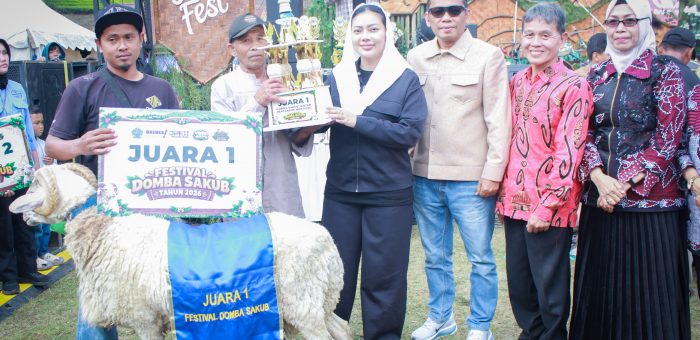 SAKALI FEST 2026 Hadirkan Festival Domba Sakub di Kebun Teh Kaligua